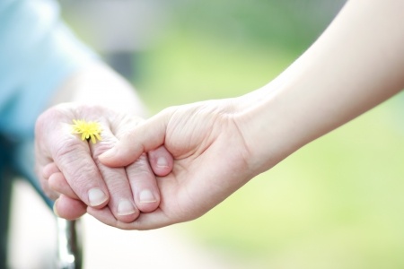 Companionship services for your loved one.